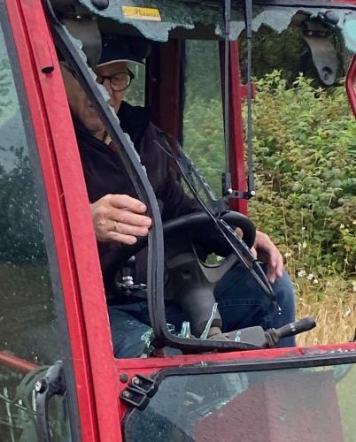 Vildfaren bold rammer forruden.